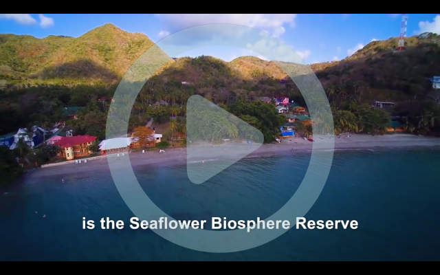 Momentos en seaflower 3